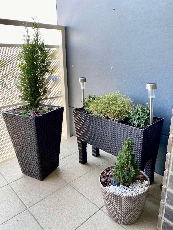 Die Oase - Luxurious Apartment Near The City Center With Free Parking Bratislava Dış mekan fotoğraf